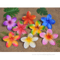 6" Large Printed Handmade Artificial Plumeria Hair Pick